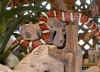 king2.jpg (44665 bytes)