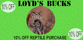 loydbucks.gif (18258 bytes)